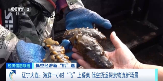 1736218747914851.png 1736218747914851.png