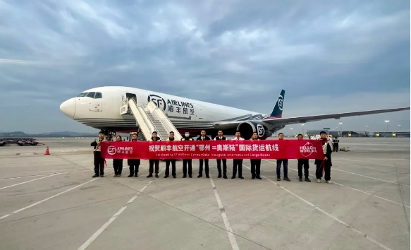 1736837182712372.png 1736837182712372.png