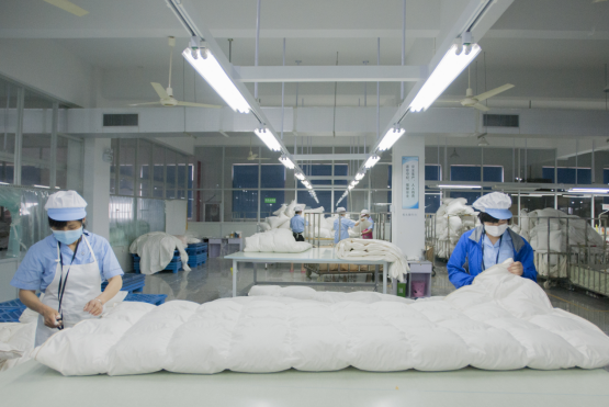 1741229429918366.png 1741229429918366.png