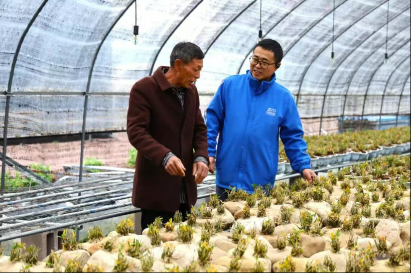 1744095522482654.png 1744095522482654.png