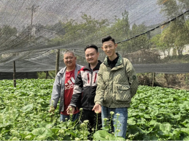 1747186613342251.png 1747186613342251.png