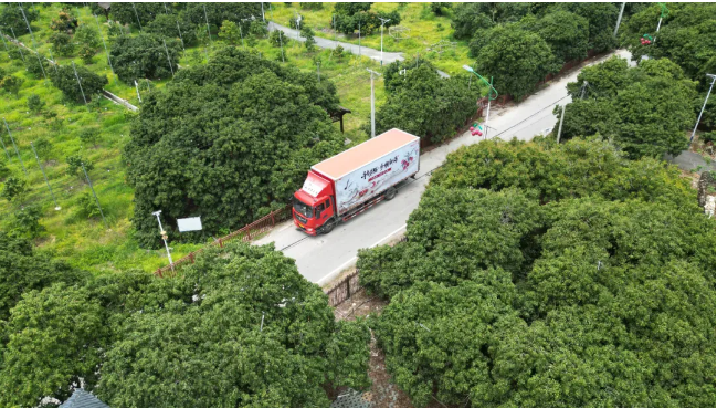 1749462253181341.png 1749462253181341.png