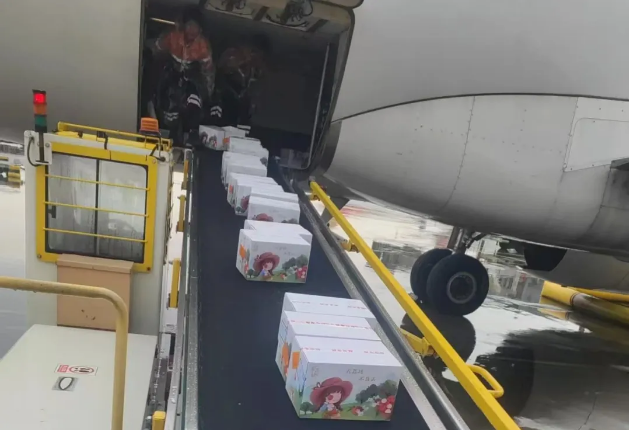 1749777515825639.png 1749777515825639.png