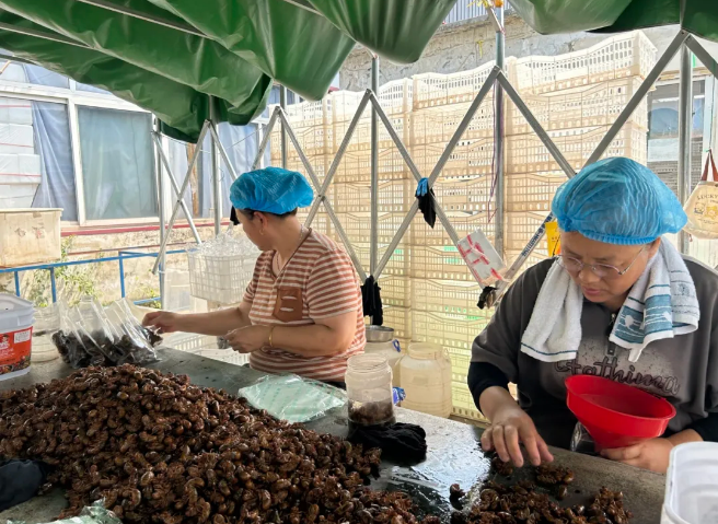 1752110484154949.png 1752110484154949.png