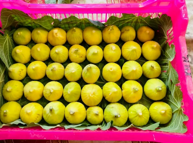 1752546958468032.png 1752546958468032.png