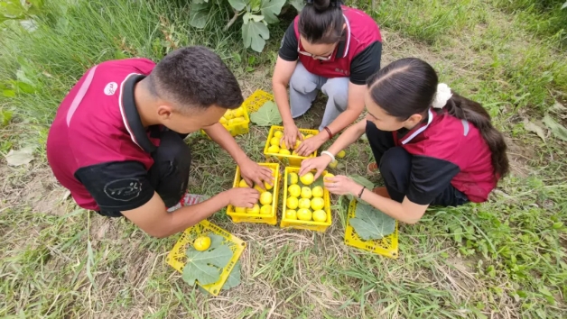 1752546988279235.png 1752546988279235.png