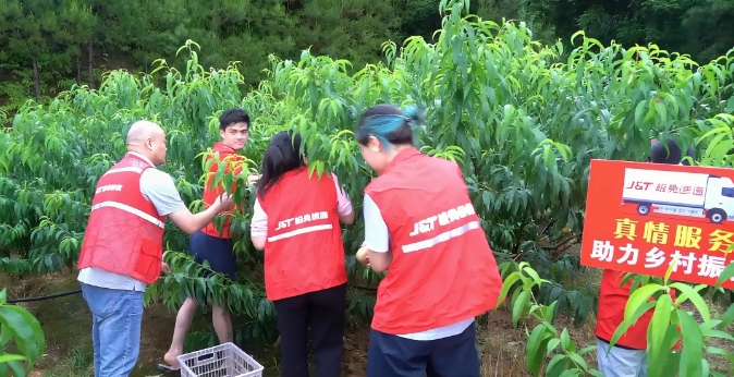 1753321243556955.png 1753321243556955.png