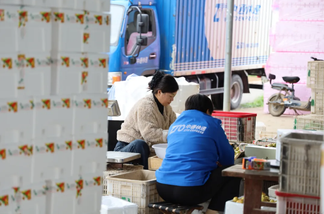 1760322193206736.png 1760322193206736.png