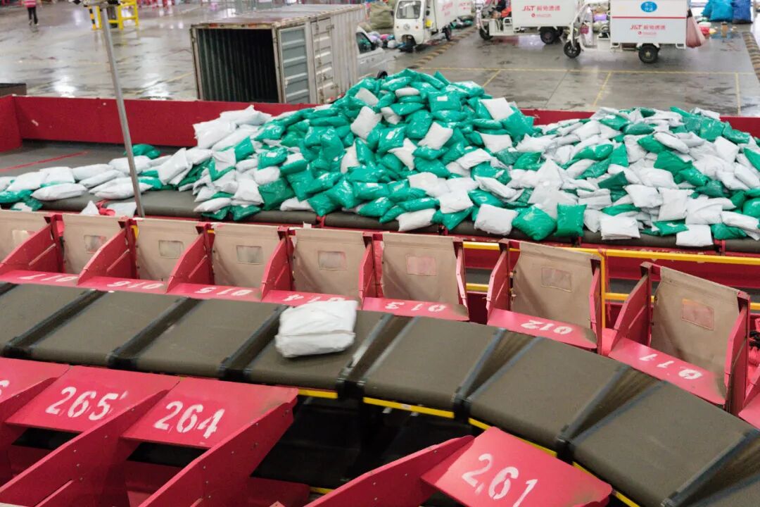 1765268698873908.jpg 1765268698873908.jpg