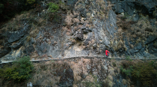 1767667457504392.png 1767667457504392.png