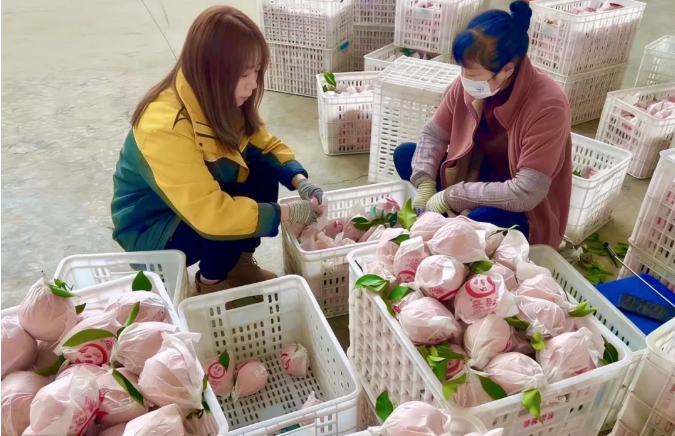 1772505362205965.png 1772505362205965.png