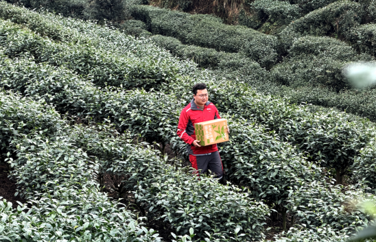 1772521341980414.png 1772521341980414.png